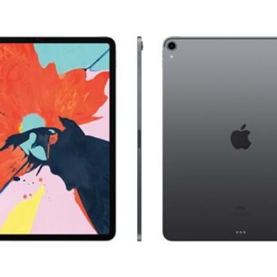 Apple iPad Pro 256 Go Wi-Fi Gris sidéral 11